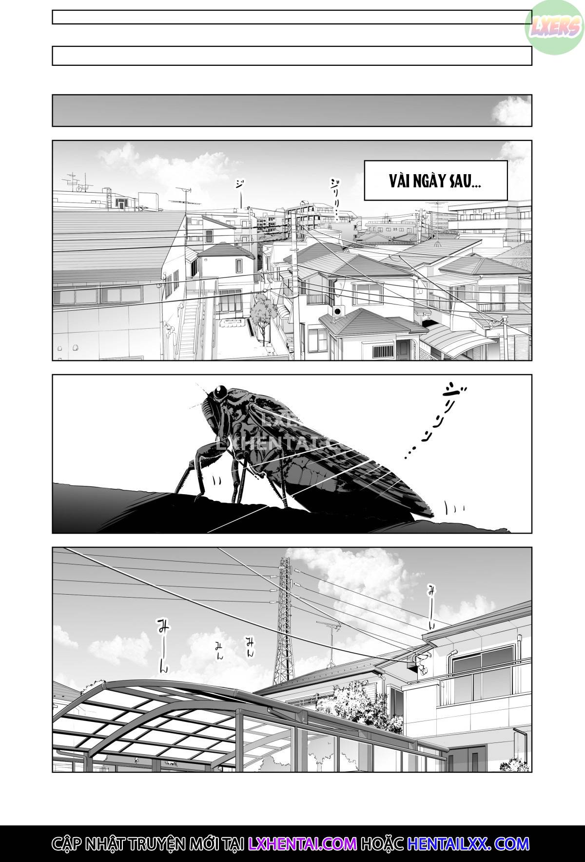 Xem ảnh 16 trong truyện hentai Đêm Hè Tôi Quan Hệ Tình Dục Với Gái Độc Thân - Chapter 1 - truyenhentai18.pro